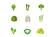 Green vegetable icon set