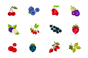 Wild and cultivated berries icon set
