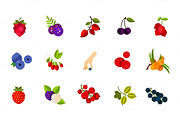 Wild berries icon set