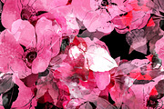 wild rose seamless | JPEG