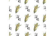 Corn Cob and Monochrome Sweet Beet Endless Texture