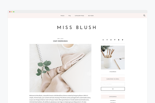 Responsive Wordpress Theme- Blush