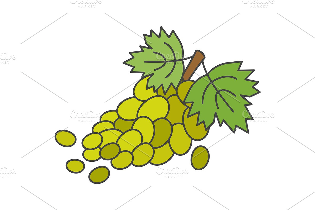 Branch of Green Grapes Flat Vector Icon in Illustrations - product preview 8