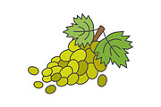 Branch of Green Grapes Flat Vector Icon
