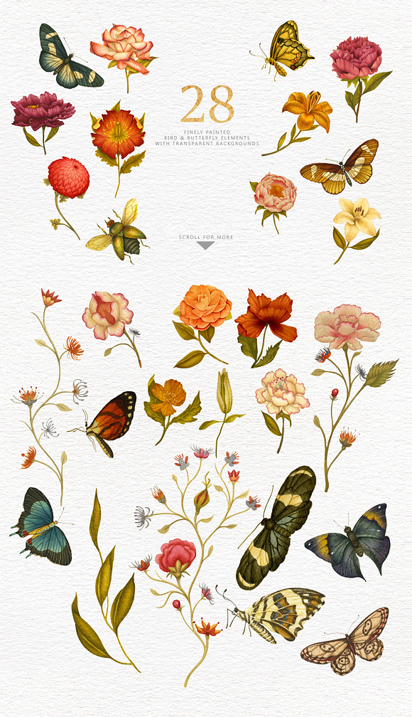 Flowers & Butterflies - Clipart in Illustrations - product preview 7