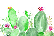 Watercolor cactus 
