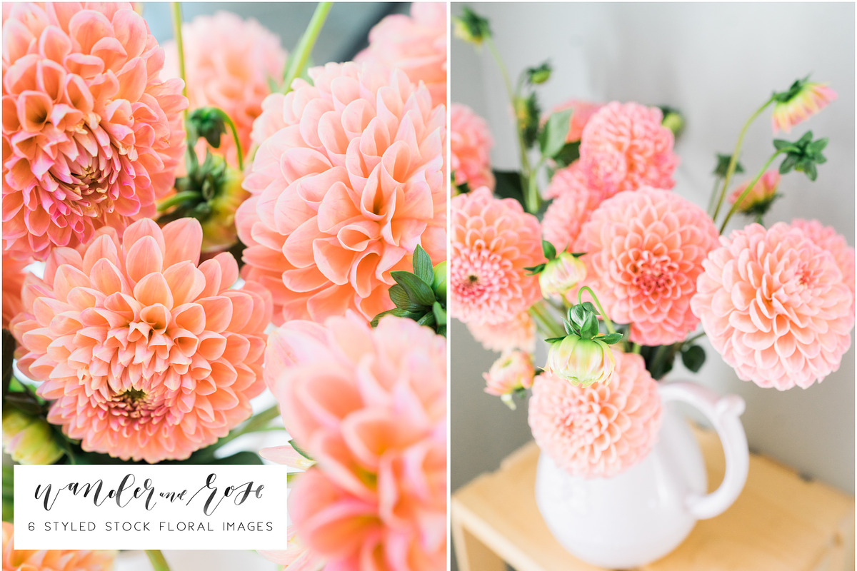 Dahlia Floral Styled Stock Images in Instagram Templates - product preview 8