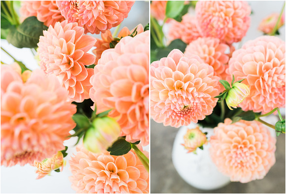 Dahlia Floral Styled Stock Images in Instagram Templates - product preview 2
