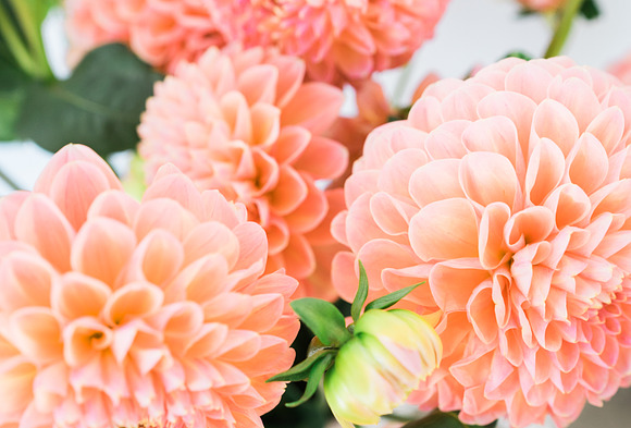 Dahlia Floral Styled Stock Images in Instagram Templates - product preview 3