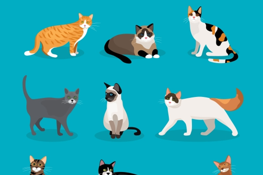 Set of vector cats