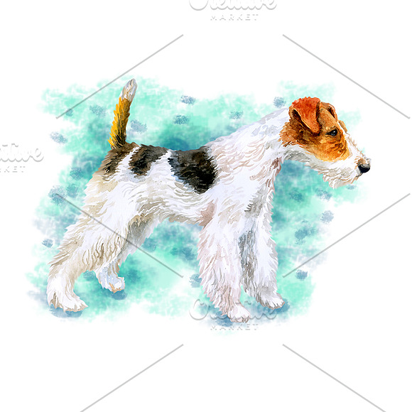 Watercolor Dogs - Collection 3 of 12 in Illustrations - product preview 1