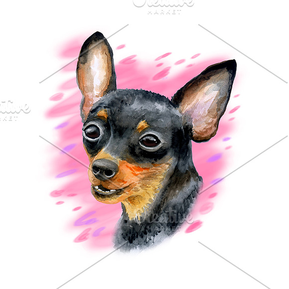 Watercolor Dogs - Collection 3 of 12 in Illustrations - product preview 3