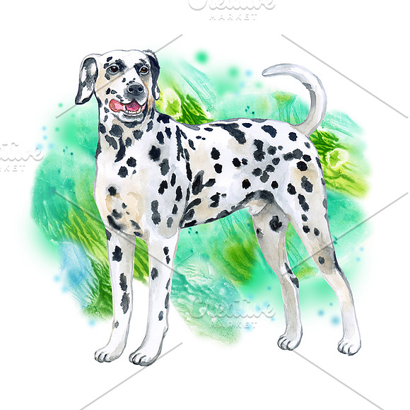 Watercolor Dogs - Collection 4 of 12 in Illustrations - product preview 1