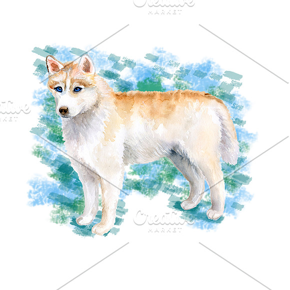Watercolor Dogs - Collection 4 of 12 in Illustrations - product preview 2