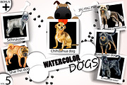 Watercolor Dogs - Collection 5 of 12