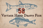 58 Vintage Hand Drawn Fish