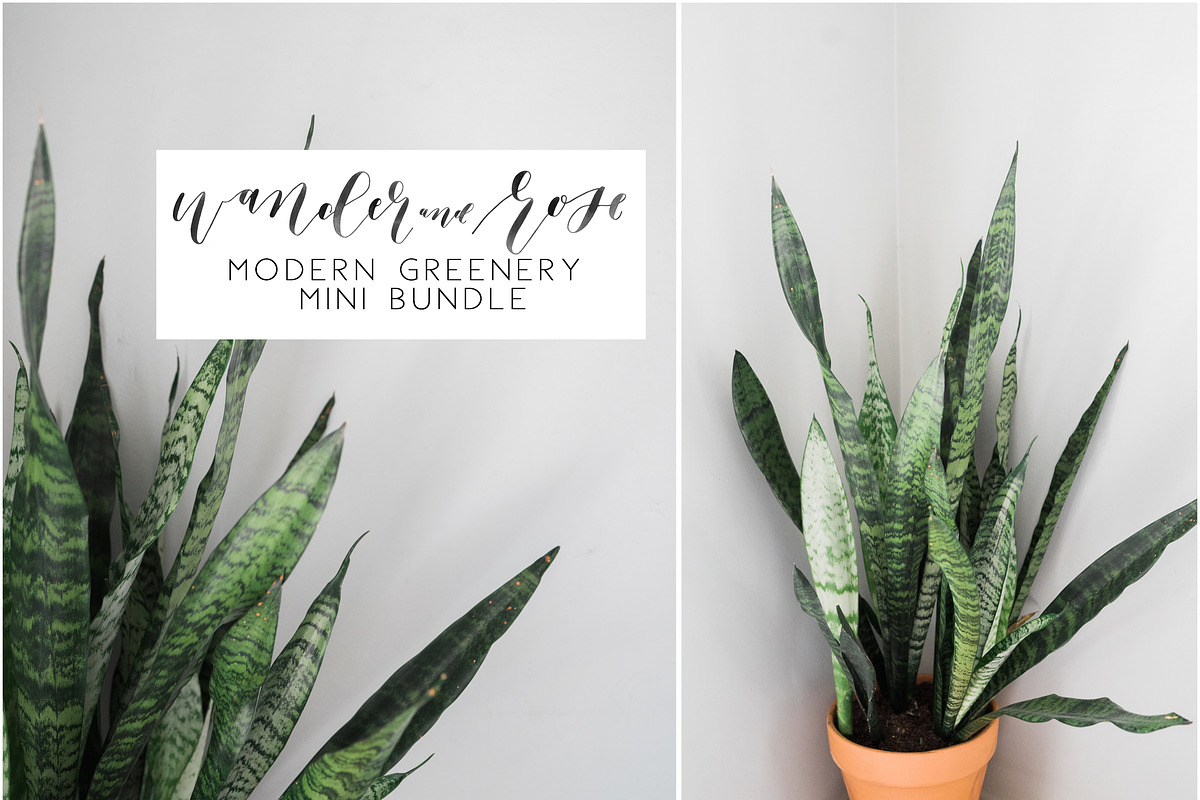 Modern Greenery Mini Bundle in Instagram Templates - product preview 8