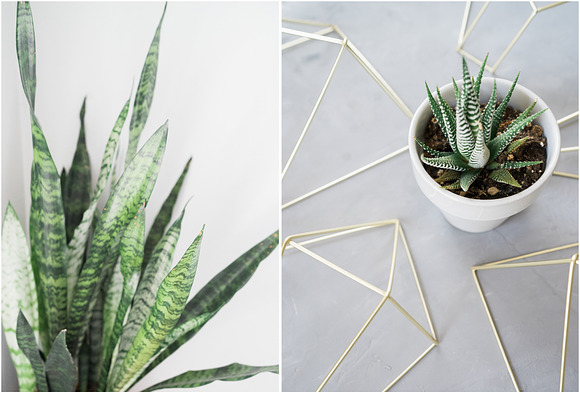 Modern Greenery Mini Bundle in Instagram Templates - product preview 3