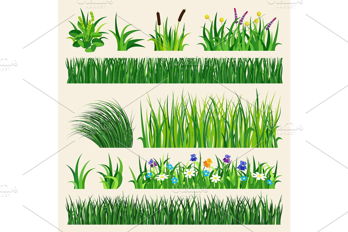 Grass nature green element vector illustration. in Illustrations - product preview 8
