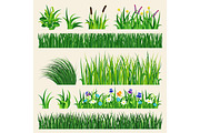 Grass nature green element vector illustration.