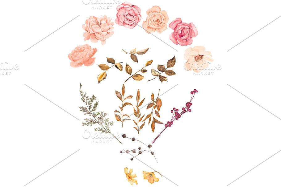 Watercolor Blush Gold Roses Clip Art in Illustrations - product preview 8