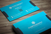 Chartography Business Card