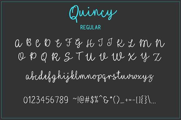 Quincy | Font Duo in Script Fonts - product preview 4