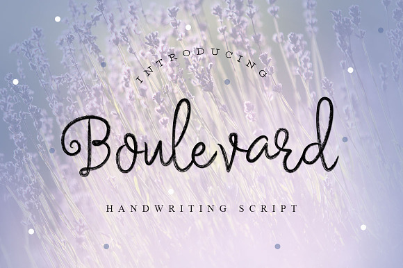 FONT BUNDLE - SHOP BUNDLE in Script Fonts - product preview 5