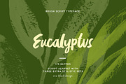 Eucalyptus Brush Script