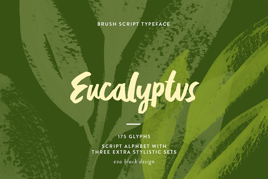 Eucalyptus Brush Script in Script Fonts - product preview 8