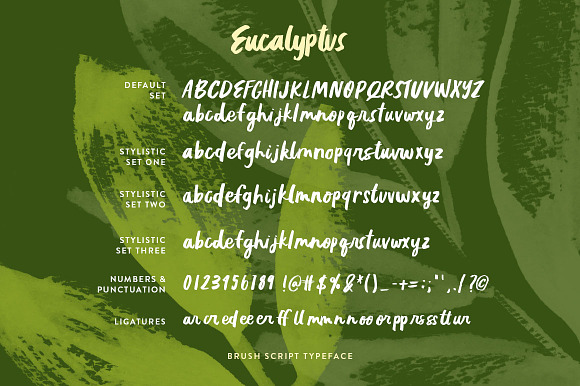 Eucalyptus Brush Script in Script Fonts - product preview 1