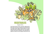 Fresh Vegetable Assortment with Text Information