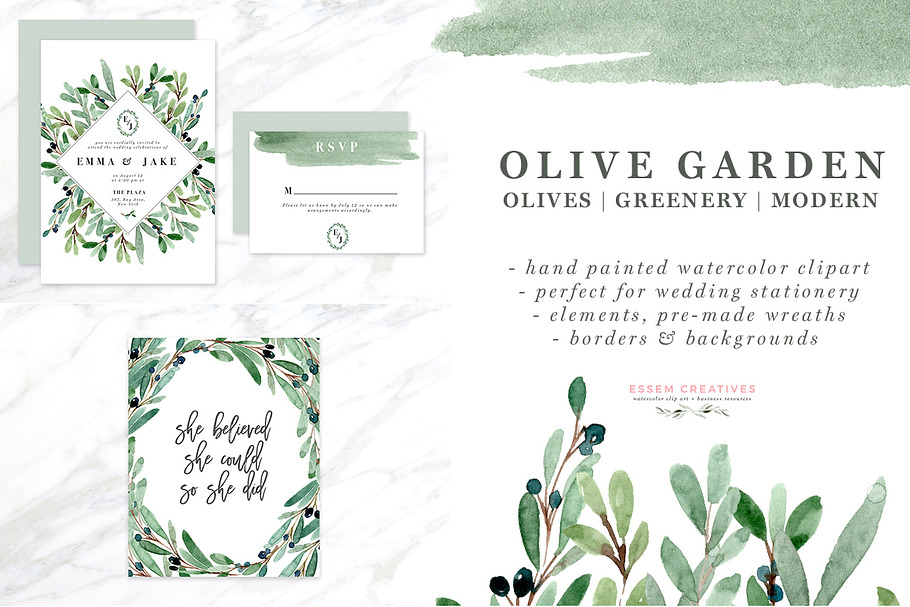 Watercolor Olive Branch Clipart
