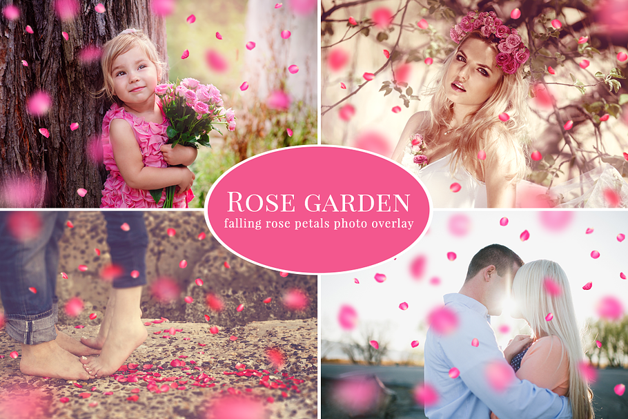 Rose Garden - pink petals overlay in Objects - product preview 8