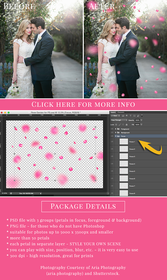 Rose Garden - pink petals overlay in Objects - product preview 1