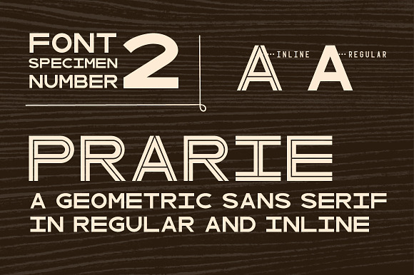 Wood Type Font Collection in Circus Fonts - product preview 5
