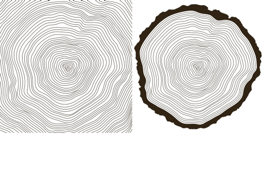 tree rings in Textures - product preview 8