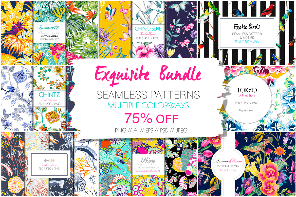 EXQUISITE BUNDLE #01 - 75%OFF in Patterns - product preview 8