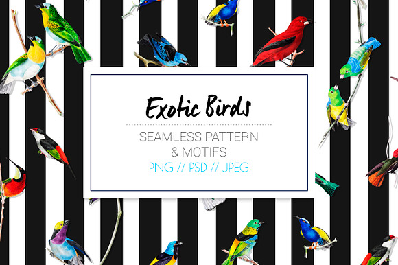 EXQUISITE BUNDLE #01 - 75%OFF in Patterns - product preview 7