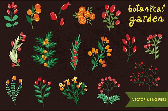 Botanical garden (vector, png) in Illustrations - product preview 1