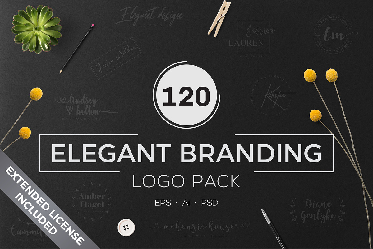 120 Elegant Branding Logo Pack in Logo Templates - product preview 8