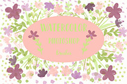 Watercolor Photoshop Floral Brushes