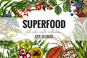 Superfood, vector collection