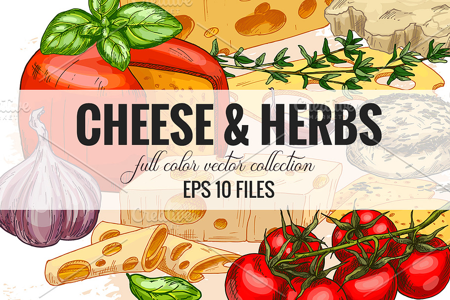 Cheese. Vector collection. in Illustrations - product preview 8