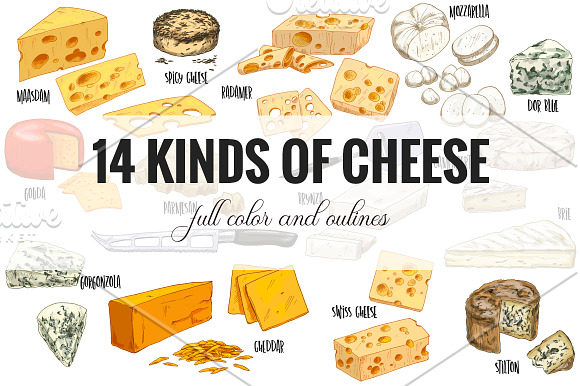 Cheese. Vector collection. in Illustrations - product preview 1