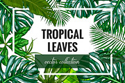 Tropical leaves. Vector collection.