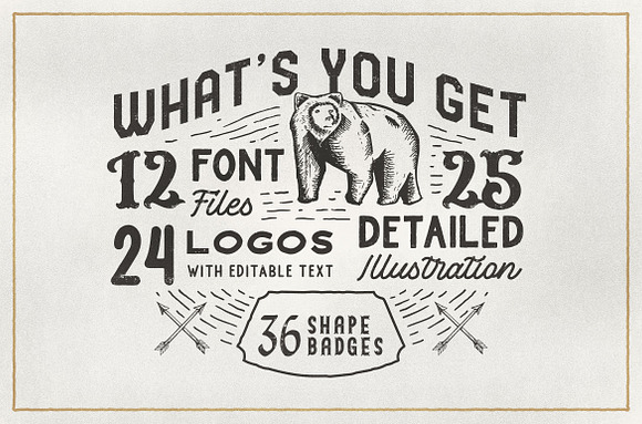 DOUGLAS COLLECTIONS (BUNDLE) in Display Fonts - product preview 1