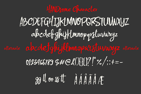 Handsome Font and Extras in Display Fonts - product preview 1