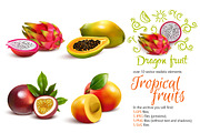 Tropical Fruits Set