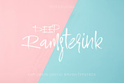 Ramsterink Script  Brush Font